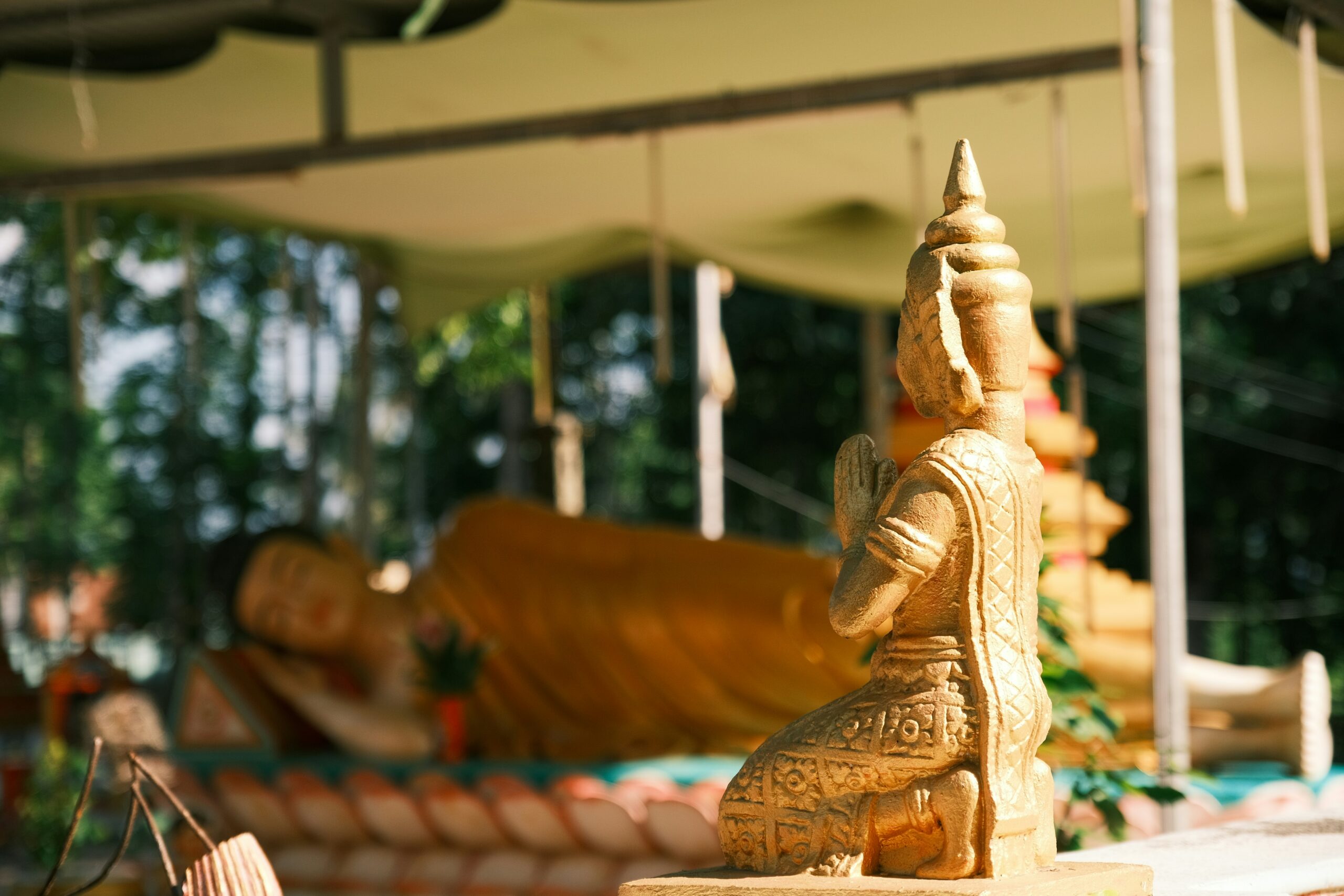 trung-nhan-tran-l33-N98Rvps-unsplash huum-NHLS5hOSH0c-unsplash