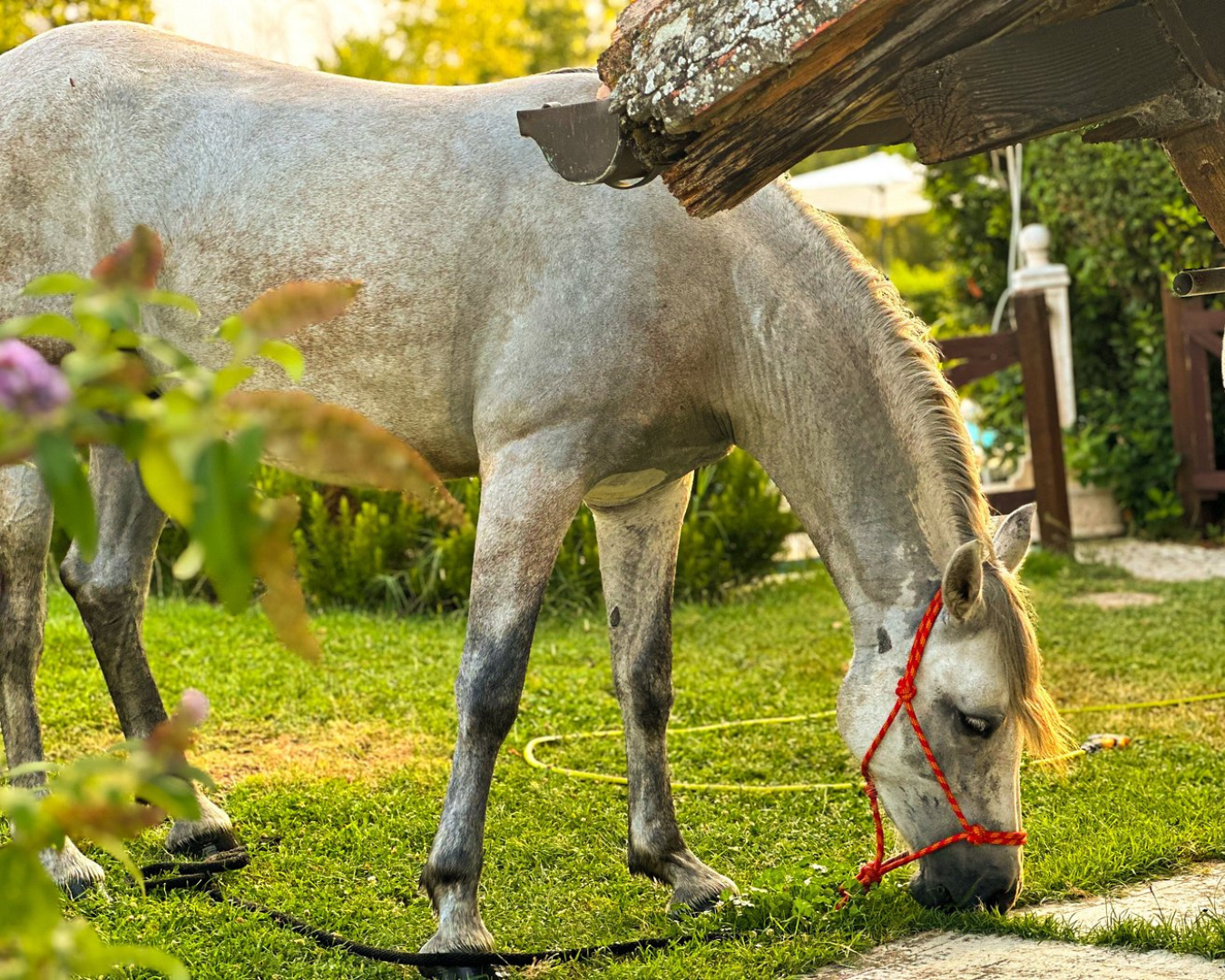 huum-NHLS5hOSH0c-unsplash